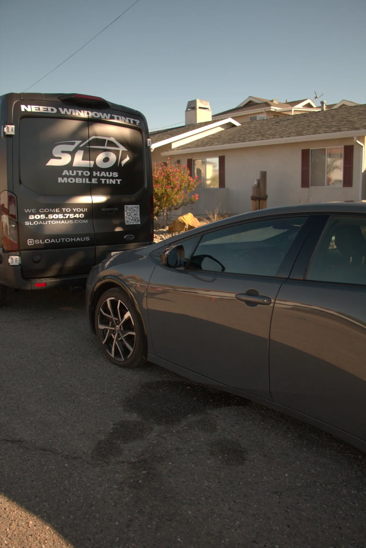 Standard Smoke Light Tint